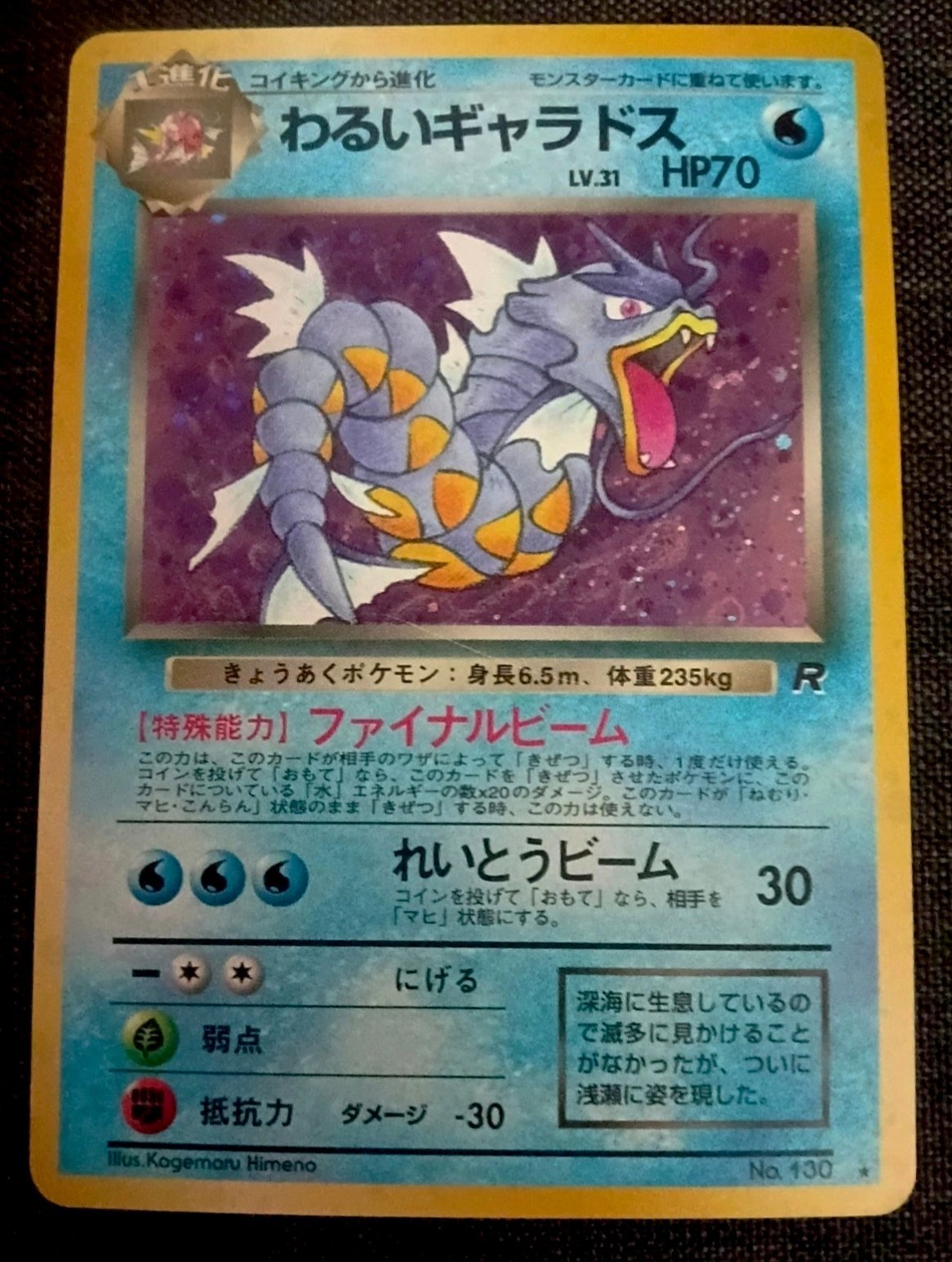 Dark Gyarados #8